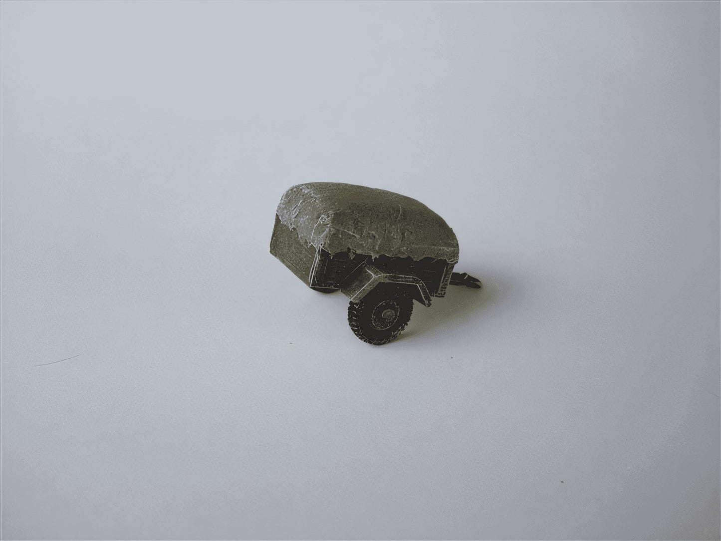 28mm 10 CWT SINGLE AXLE TRAILER + LOAD AND TARP