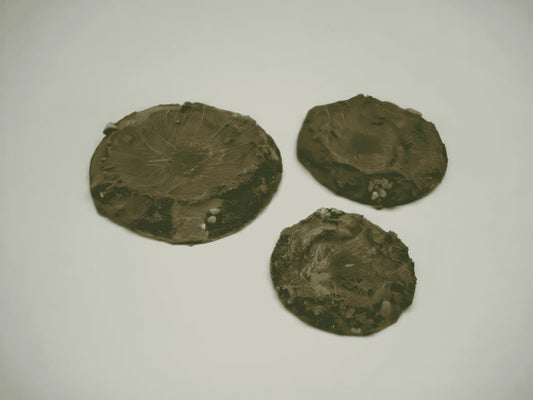 28mm  SHELL SPLATS x 3